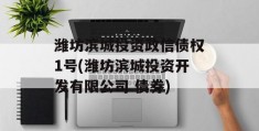 潍坊滨城投资政信债权1号(潍坊滨城投资开发有限公司 债券)