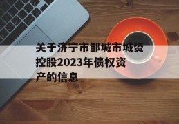 关于济宁市邹城市城资控股2023年债权资产的信息