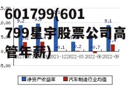 601799(601799星宇股票公司高管年薪)