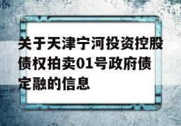 关于天津宁河投资控股债权拍卖01号政府债定融的信息