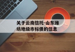 关于云南信托-山东潍坊地级市标债的信息