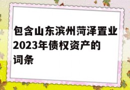 包含山东滨州菏泽置业2023年债权资产的词条