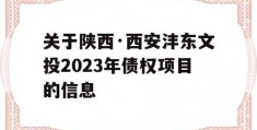 关于陕西·西安沣东文投2023年债权项目的信息