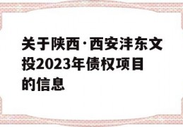 关于陕西·西安沣东文投2023年债权项目的信息