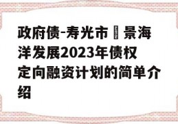 政府债-寿光市昇景海洋发展2023年债权定向融资计划的简单介绍