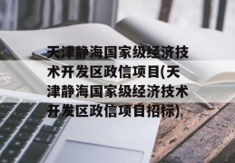 天津静海国家级经济技术开发区政信项目(天津静海国家级经济技术开发区政信项目招标)