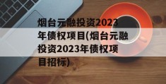 烟台元融投资2023年债权项目(烟台元融投资2023年债权项目招标)