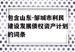 包含山东-邹城市利民建设发展债权资产计划的词条