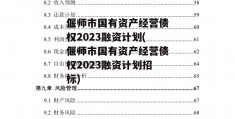 偃师市国有资产经营债权2023融资计划(偃师市国有资产经营债权2023融资计划招标)