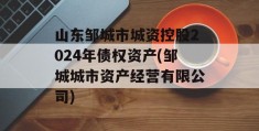 山东邹城市城资控股2024年债权资产(邹城城市资产经营有限公司)