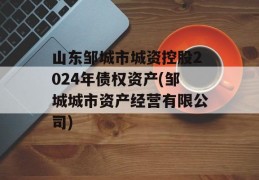 山东邹城市城资控股2024年债权资产(邹城城市资产经营有限公司)