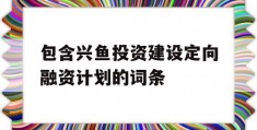 包含兴鱼投资建设定向融资计划的词条