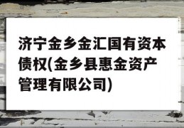 济宁金乡金汇国有资本债权(金乡县惠金资产管理有限公司)