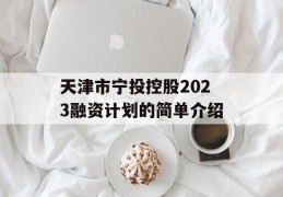 天津市宁投控股2023融资计划的简单介绍