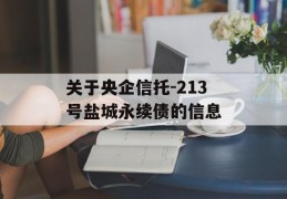 关于央企信托-213号盐城永续债的信息