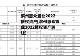 滨州惠众置业2022债权资产(滨州惠众置业2022债权资产转让)