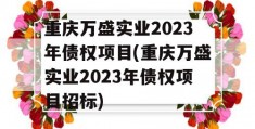 重庆万盛实业2023年债权项目(重庆万盛实业2023年债权项目招标)