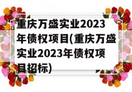 重庆万盛实业2023年债权项目(重庆万盛实业2023年债权项目招标)