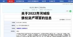 关于2022齐河城投债权资产项目的信息