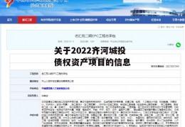 关于2022齐河城投债权资产项目的信息