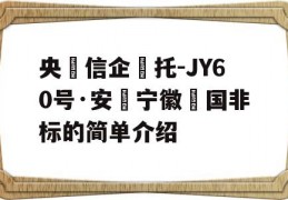 央‮信企‬托-JY60号·安‮宁徽‬国非标的简单介绍