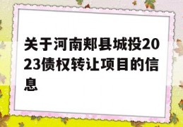 关于河南郏县城投2023债权转让项目的信息