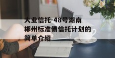 大业信托-48号湖南郴州标准债信托计划的简单介绍