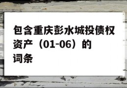 包含重庆彭水城投债权资产（01-06）的词条