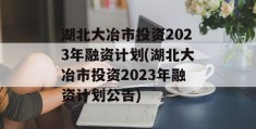 湖北大冶市投资2023年融资计划(湖北大冶市投资2023年融资计划公告)