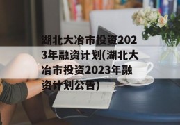 湖北大冶市投资2023年融资计划(湖北大冶市投资2023年融资计划公告)