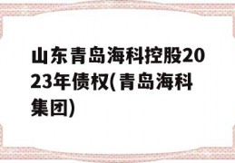 山东青岛海科控股2023年债权(青岛海科集团)