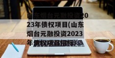 山东烟台元融投资2023年债权项目(山东烟台元融投资2023年债权项目招标)