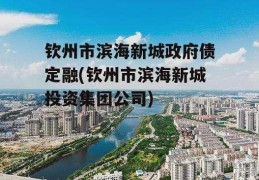 钦州市滨海新城政府债定融(钦州市滨海新城投资集团公司)