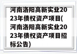 河南洛阳高新实业2023年债权资产项目(河南洛阳高新实业2023年债权资产项目招标公告)