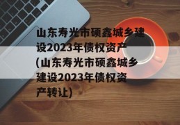 山东寿光市硕鑫城乡建设2023年债权资产(山东寿光市硕鑫城乡建设2023年债权资产转让)