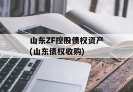 山东ZF控股债权资产(山东债权收购)