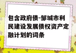 包含政府债-邹城市利民建设发展债权资产定融计划的词条