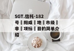 SGT.信托-182号‮阳咸‬地‮市级‬非‮项标‬目的简单介绍