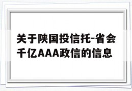 关于陕国投信托-省会千亿AAA政信的信息