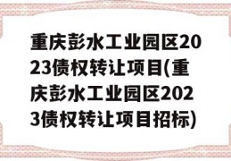 重庆彭水工业园区2023债权转让项目(重庆彭水工业园区2023债权转让项目招标)