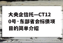 大央企信托—CT120号·东部省会标债项目的简单介绍