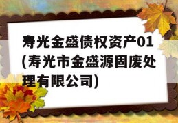 寿光金盛债权资产01(寿光市金盛源固废处理有限公司)