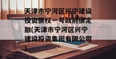 天津市宁河区兴宁建设投资债权一号政府债定融(天津市宁河区兴宁建设投资集团有限公司)