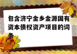 包含济宁金乡金源国有资本债权资产项目的词条