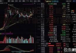 金能科技股票(金能科技股票行情东方财富网)