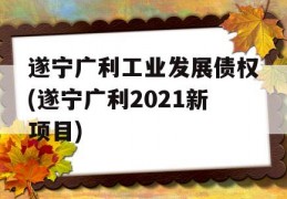 遂宁广利工业发展债权(遂宁广利2021新项目)