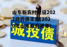 山东新农村建设2022政府债定融(2020年山东政府债券)