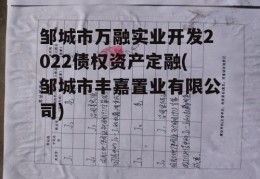 邹城市万融实业开发2022债权资产定融(邹城市丰嘉置业有限公司)