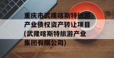 重庆市武隆喀斯特旅游产业债权资产转让项目(武隆喀斯特旅游产业集团有限公司)