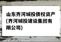 山东齐河城投债权资产(齐河城投建设集团有限公司)